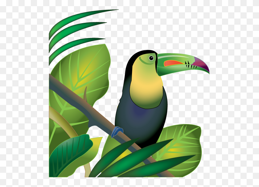 523x546 Rainforest Animals Clip Art - Boa Clipart