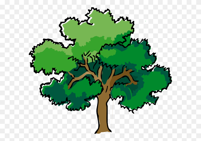 600x532 Rainforest Plant And Tree Clipart - Rainforest Tree Clipart