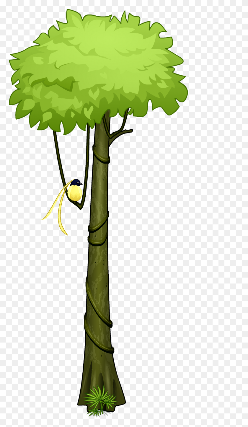 1080x1920 Rainforest Tree Clipart Cliparts For Your Inspiration - Tropical Rainforest Clipart
