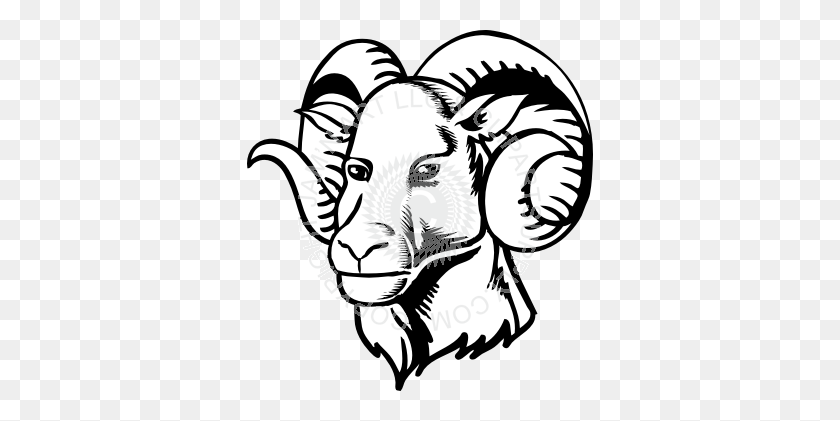 346x361 Ram Head With Curly Horns - Ram Clipart Black And White
