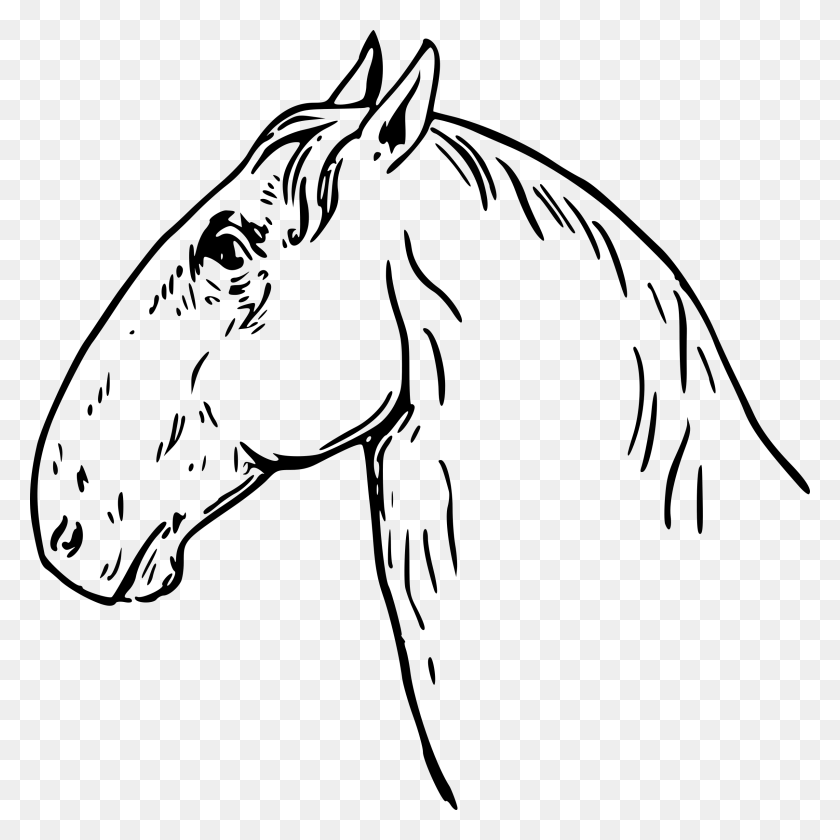 2398x2400 Ram Headed Horsehead Icons Png - Horse Head PNG