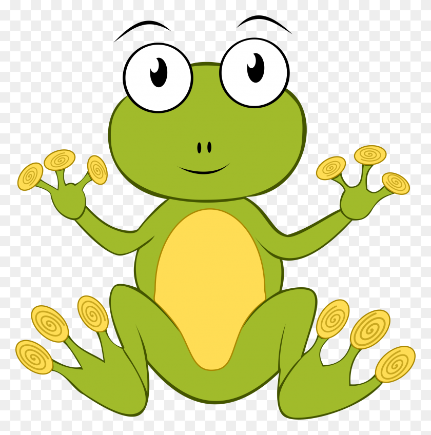 2374x2400 Rana Frog Icons Png - Frog PNG