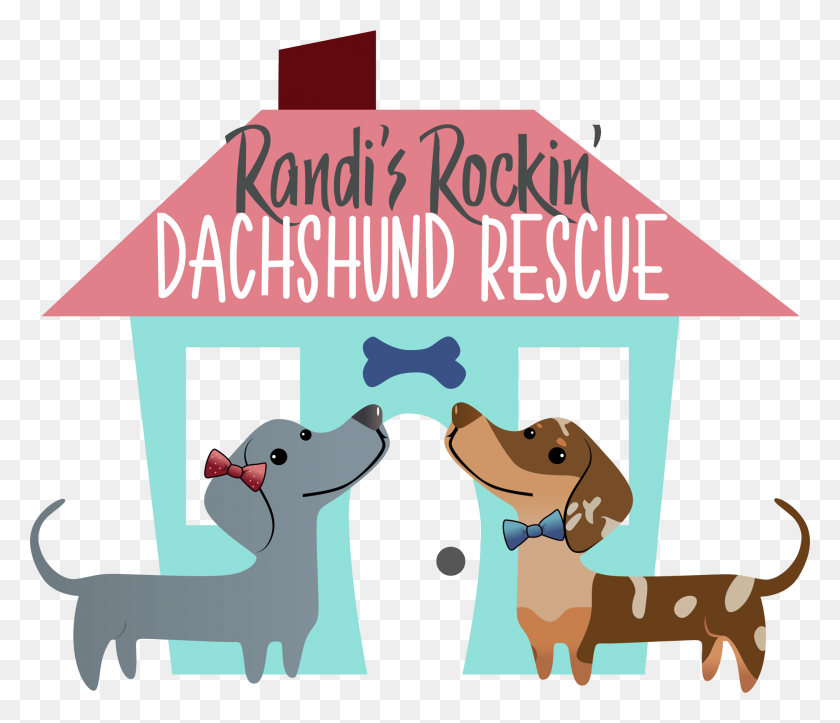 2048x1742 Randi Rockin Dachshund Rescue Bonner Springs, Ks - Perro Salchicha Png