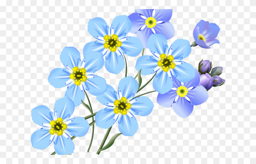 640x480 Random Cliparts - Forget Me Not Flower Clipart
