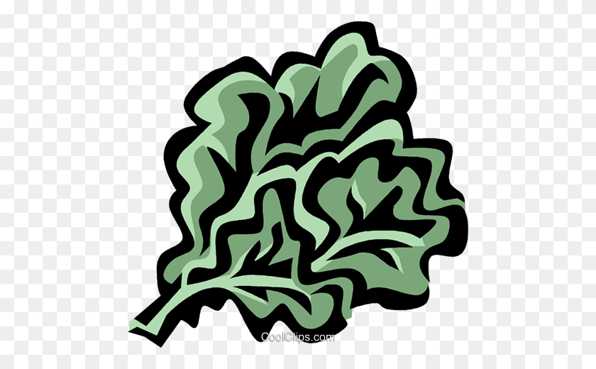480x460 Rapini Royalty Free Vector Clip Art Illustration - Lettuce Leaf Clipart
