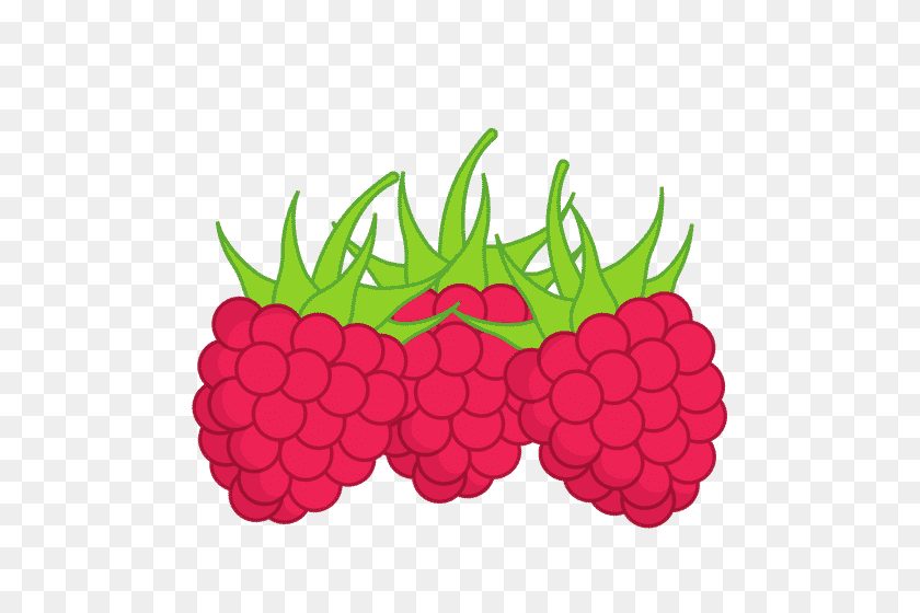 500x500 Raspberries - Raspberries PNG