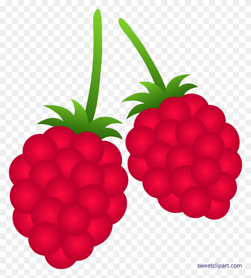 4571x5098 Raspberries Clip Art - Strawberry Clipart