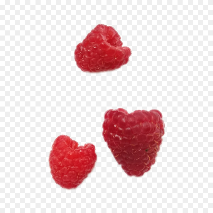 2896x2896 Raspberries Raspberry Png Aestheticpng Nichememe Nichep - Raspberries PNG
