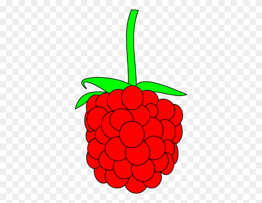 360x590 Raspberry Clip Art - Raspberry PNG
