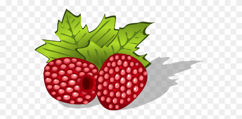 600x353 Raspberry Clipart Nice Clip Art - Strawberry Plant Clipart