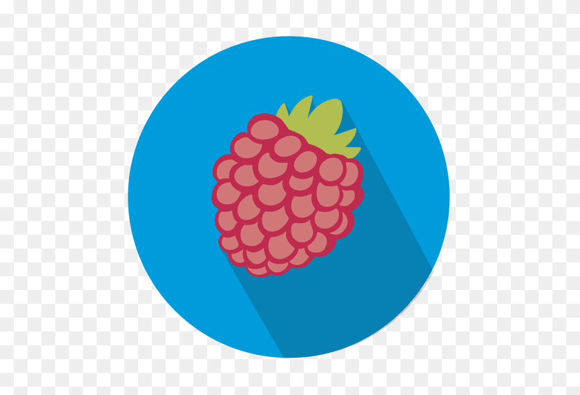 512x512 Raspberry Fruit Circle Icon - Raspberry PNG