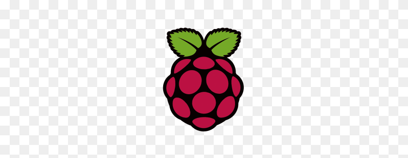 300x267 Raspberry Logo - Raspberry PNG