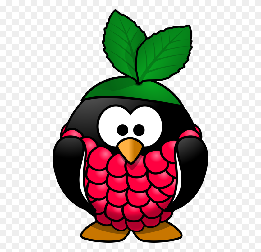 501x750 Raspberry Pi Arch Linux Brazo De Iconos De Equipo Banana Pi Gratis - Imágenes Prediseñadas De Frambuesa