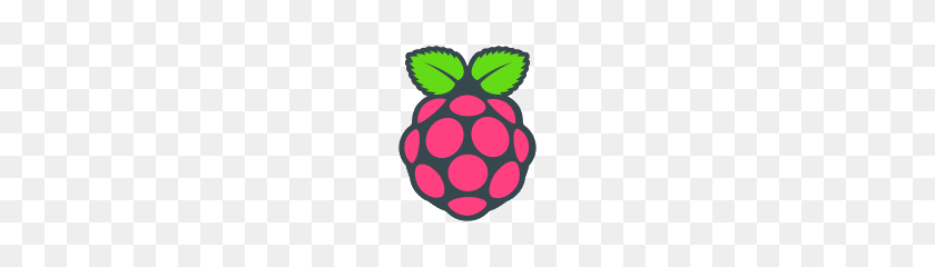 180x180 Icono De Raspberry Pi - Pi Png
