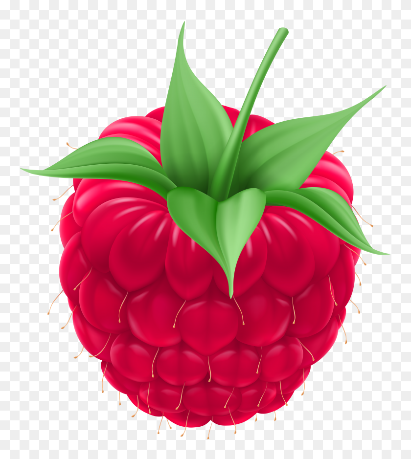 4436x5000 Raspberry Png Clip Art - Raspberry Clipart