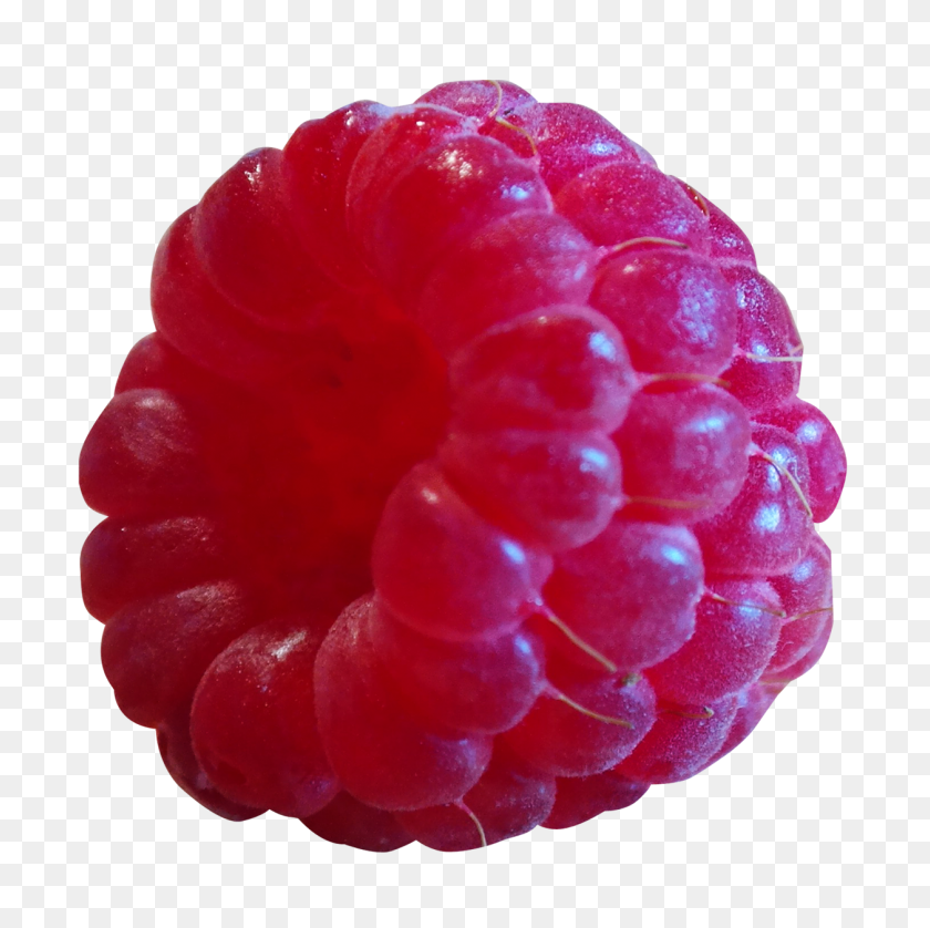 1256x1253 Raspberry Png Images Transparent Free Download - Raspberries PNG