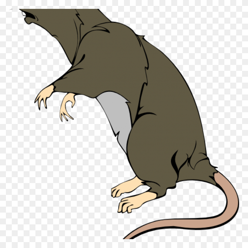 1024x1024 Rat Clipart Dirty Free Images At Clker Vector Clip Art Dinosaur - Dirty Clipart