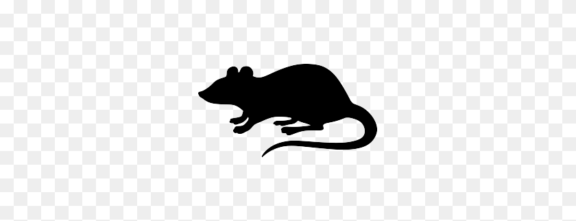 263x262 Rat Clipart Transparent - Rat Clipart Black And White