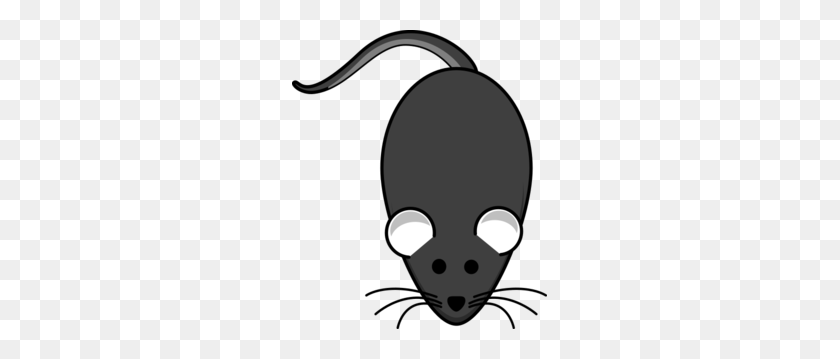 255x299 Rat Grey Dark Clip Art - Rat Clipart