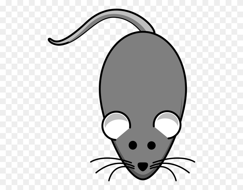 510x597 Rat Grey Darker Clip Art - Rat Clipart