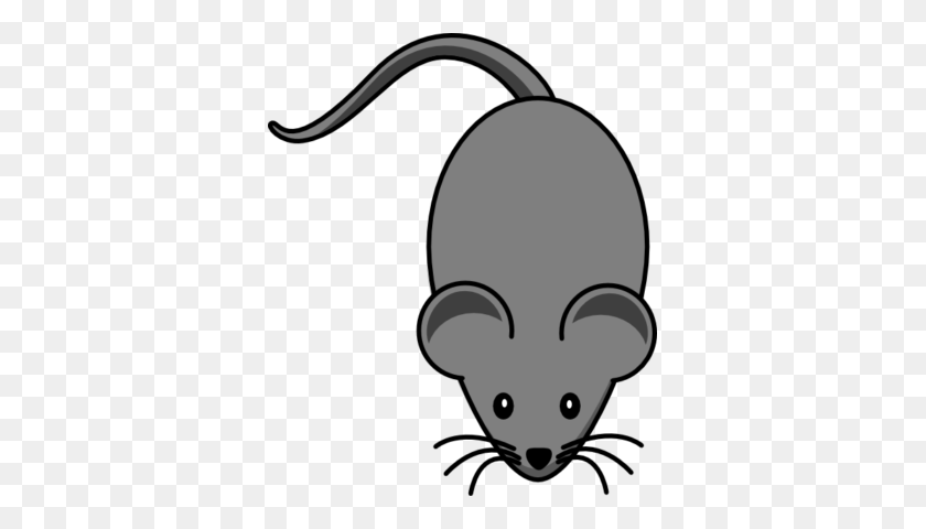 353x420 Крыса Мышь Черный Клипарт - Крыса Клипарт Черный И Белый