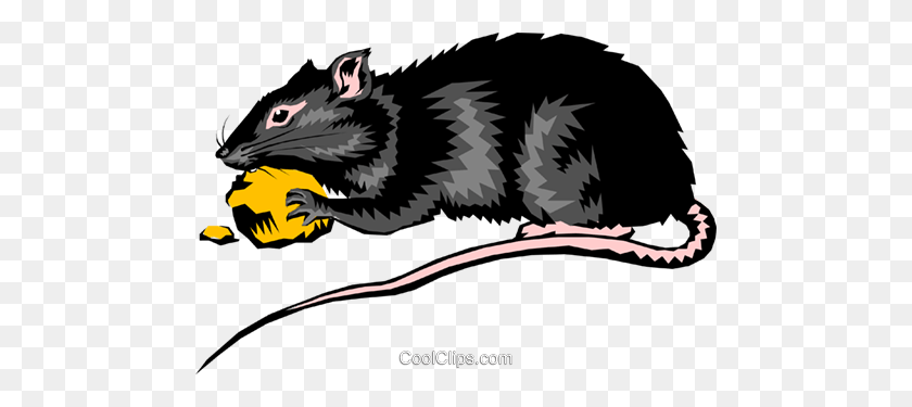 480x315 Rat Royalty Free Vector Clip Art Illustration - Rat Clipart