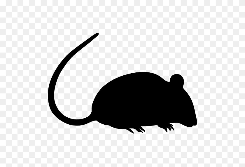 512x512 Rat Silhouette - Rat PNG
