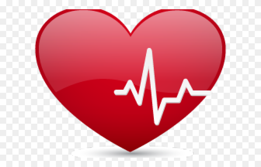 640x480 Rate Clipart Human Heart - Human Heart PNG