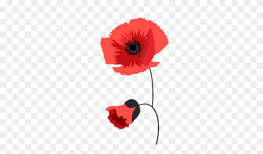 278x431 Rating Photo P - Poppy PNG