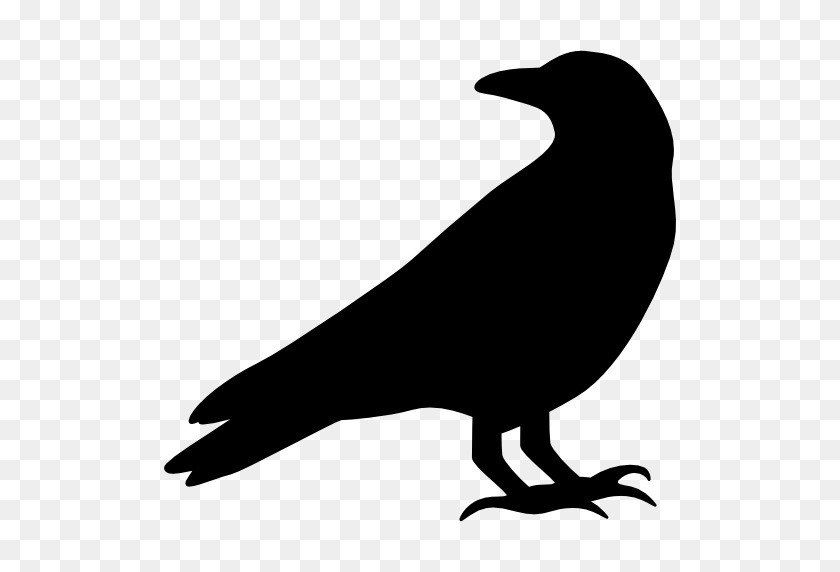512x512 Raven - Raven PNG