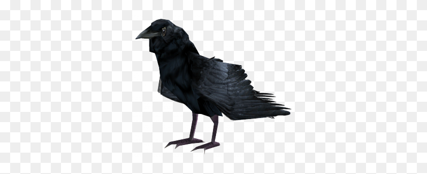 320x282 Raven - Raven PNG
