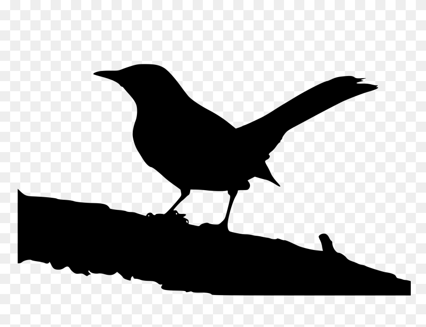 2400x1800 Raven Clipart Mockingbird - Raven Clipart Blanco Y Negro