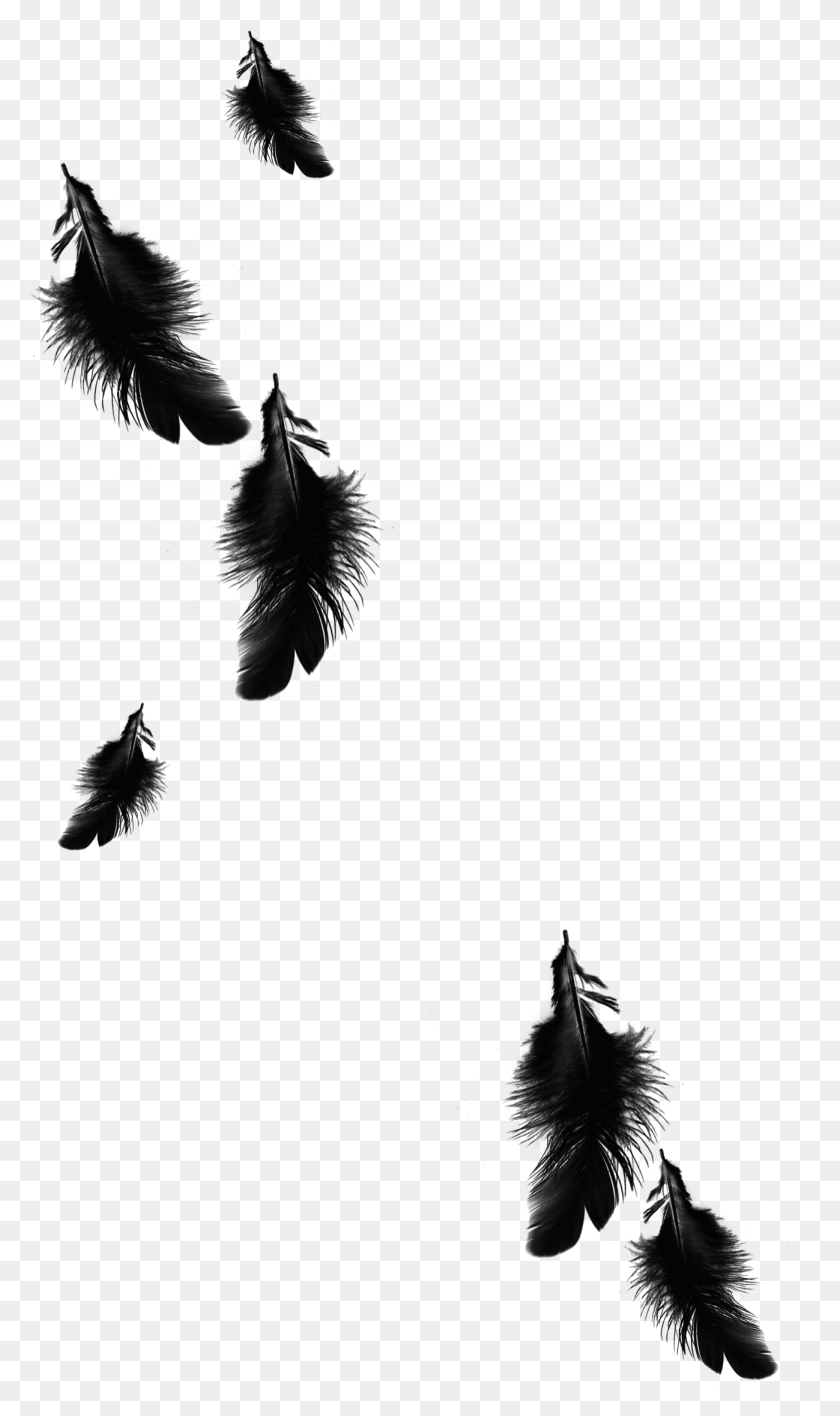 1299x2258 Raven Feather Azarath - Black Feather PNG