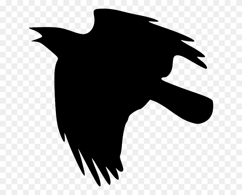 640x618 Raven Png - Raven PNG