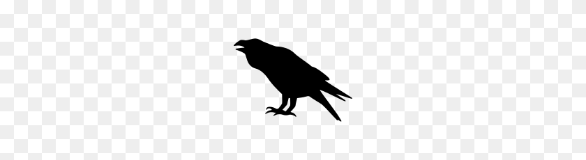170x170 Raven Png Icon - Raven PNG