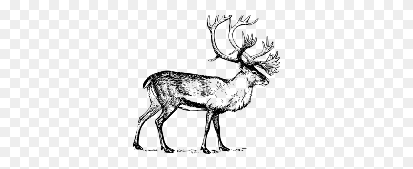 300x285 Raw Png Images, Icon, Cliparts - Deer Clipart Black And White