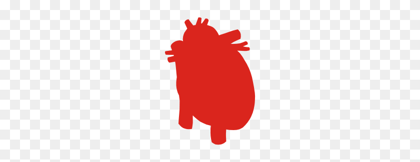 190x265 Real Heart - Real Heart PNG