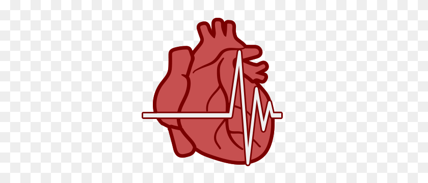 300x300 Real Heart Png - Real Heart PNG
