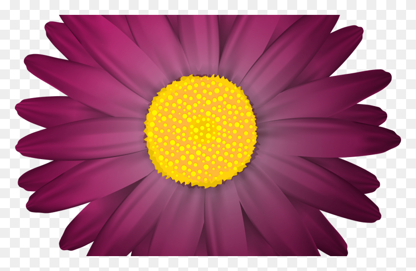 1368x855 Настоящий Фиолетовый Цветок Картинки Садовые Цветы И Овощи - Деревенский Цветочный Клипарт
