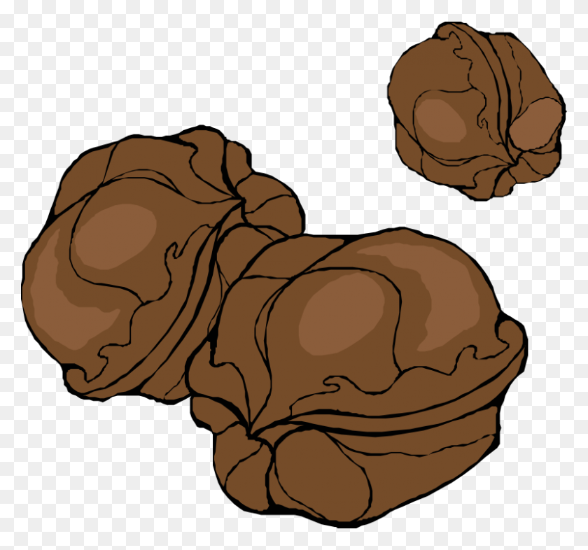 800x745 Real Walnut Clipart - Real Dog Clipart