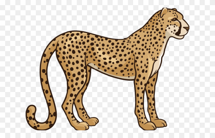640x480 Realistic Clipart Cheetah - Cheetah Clipart