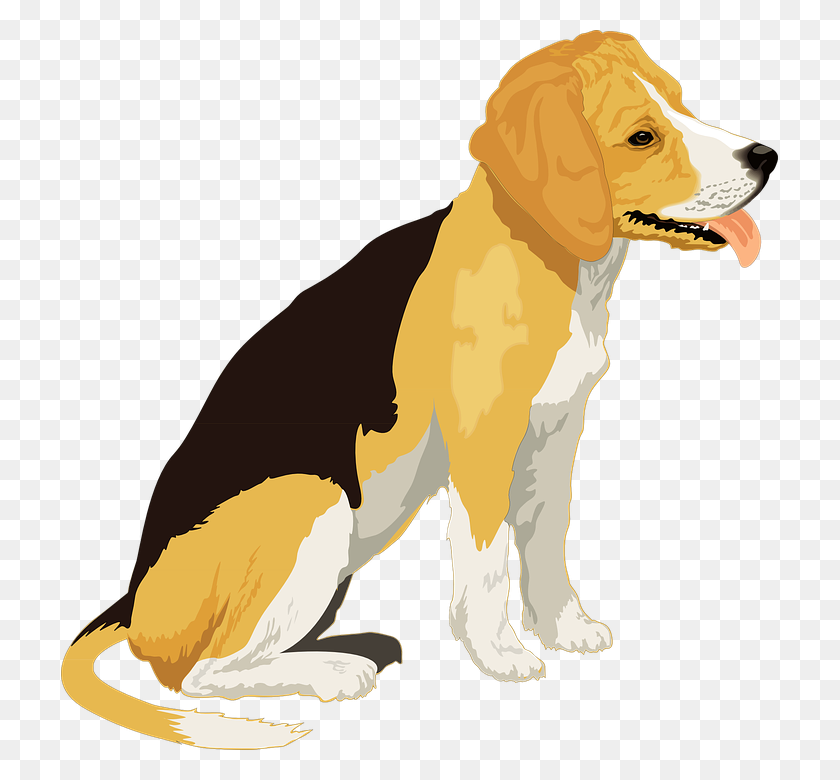 717x720 Realistic Clipart Dog - Labrador Dog Clipart