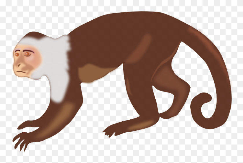 800x517 Realistic Clipart Monkey - Real Dog Clipart