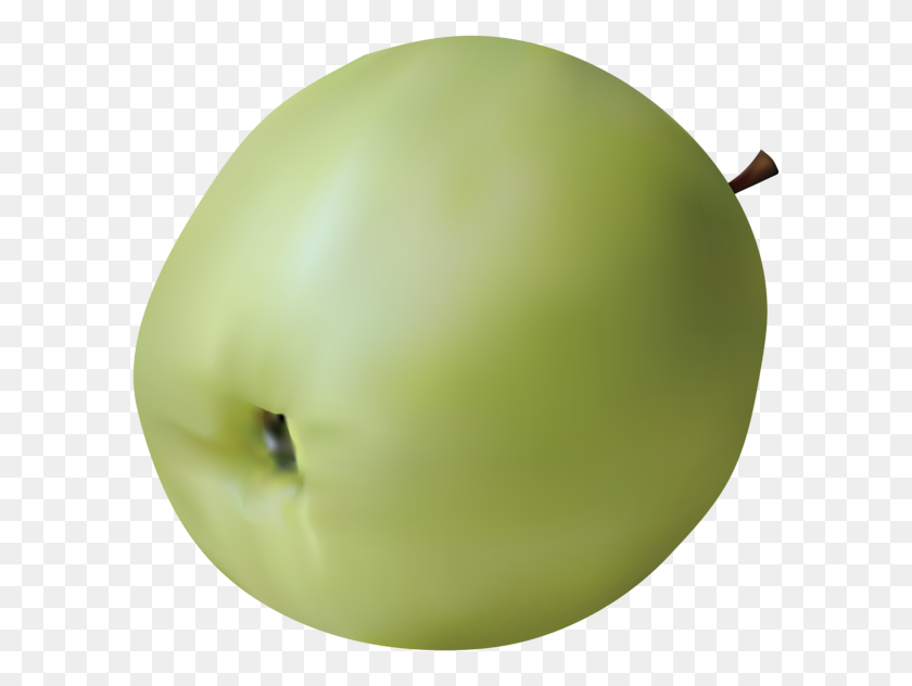 600x572 Realistic Green Apple Png Clip Art - Green Apple PNG