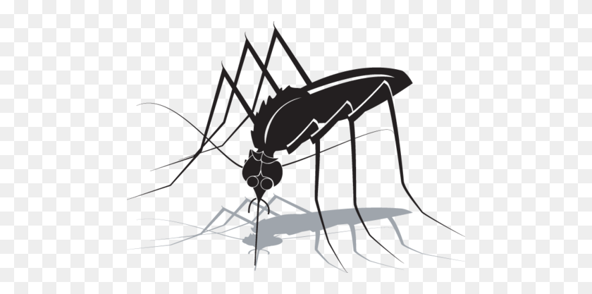 Mosquito Clip Comic Picture Library - Png Fly Mosquito Cartoon Transparent  Png (#887378) - PinClipart