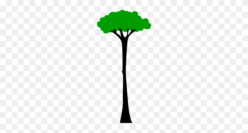 190x391 Really Tall Tree - Tall Tree PNG