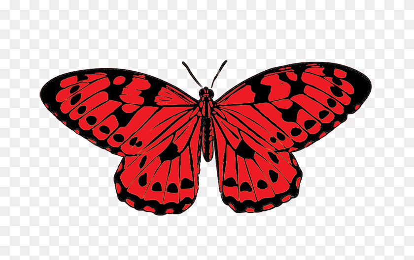 709x469 Red And Black Butterfly Png Transparent Red And Black Butterfly - Butterfly PNG Images