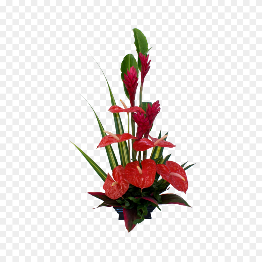 1200x1200 Red Anthurium And Ginger Hawaiian Flowers Hawaiian Flowers - Hawaiian Flower PNG