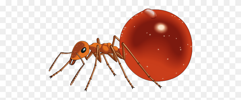 500x288 Red Ants Clipart Kid - Ant Hill Clipart
