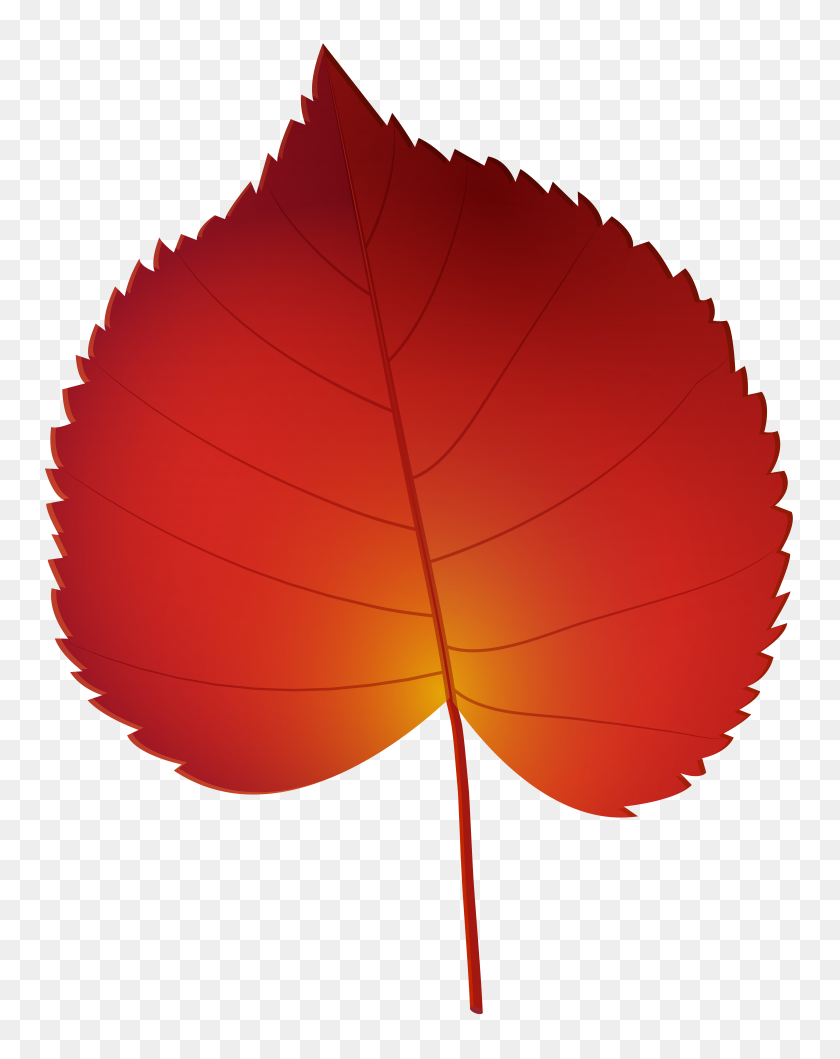6244x8000 Red Autumn Leaf Png Clip Art - Red Leaf Clipart